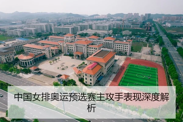 中国女排奥运预选赛主攻手表现深度解析